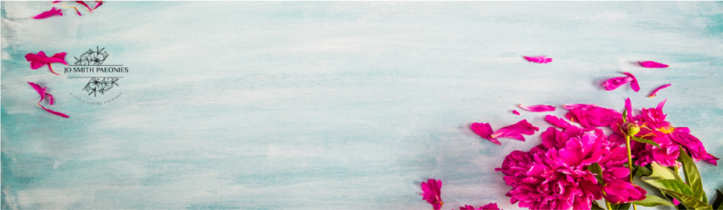JSP Banner Final