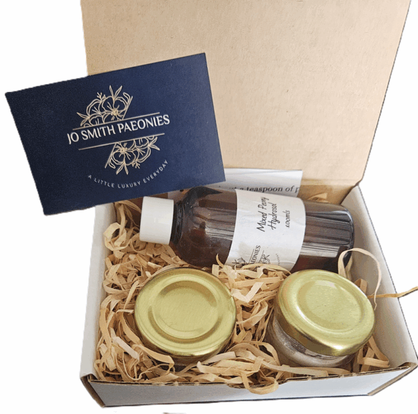 Cleansing Clay Mask Set