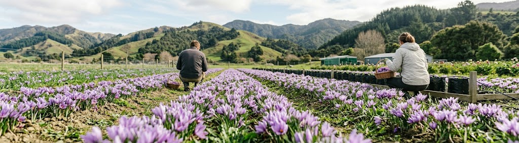 Saffron Threads NZ