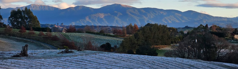 Frosty Field
