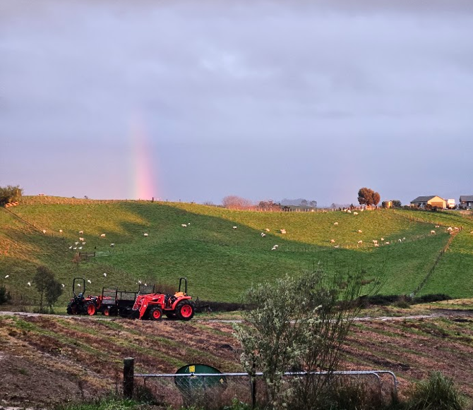 Viewfield Farm